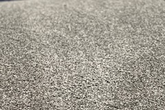IMG_2412