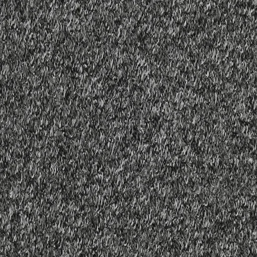 Atlantic Loop Pile Carpet