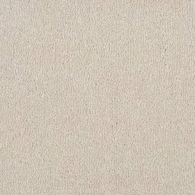 Berkeley Elite Twist Pile Carpet