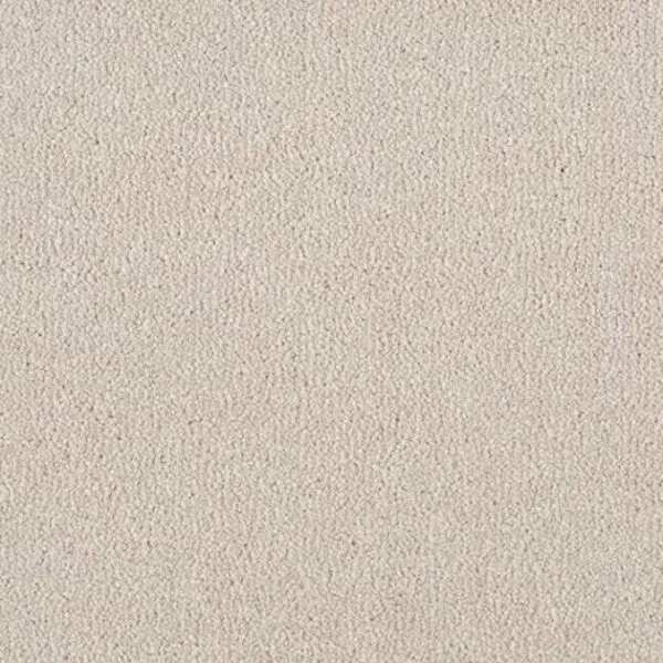 Berkeley Elite Twist Pile Carpet